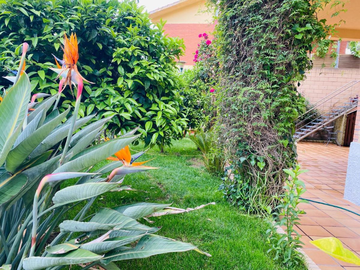 Apartamento Mar Y Montana Argentona Dış mekan fotoğraf