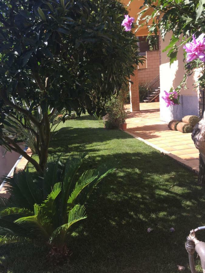 Apartamento Mar Y Montana Argentona Dış mekan fotoğraf
